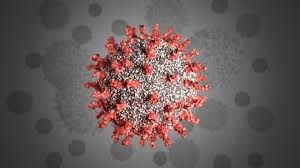No, COVID-19 Coronavirus Was Not Bioengineered. Here's The ...